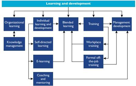 Training and Development.jpg